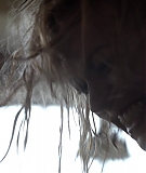 9x06_0191.jpg