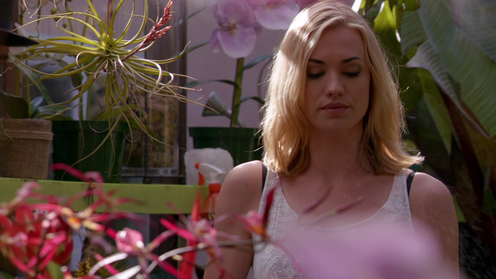 Dexter_7x03_BucktheSystem_0041.jpg