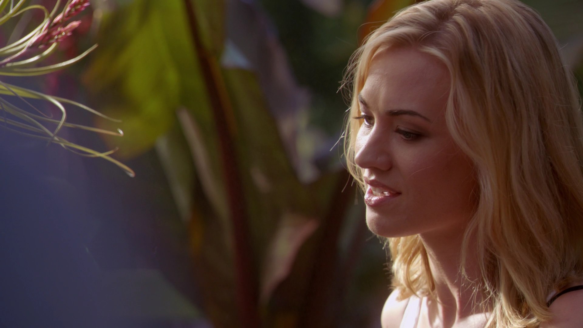 Dexter_7x03_BucktheSystem_0064.jpg