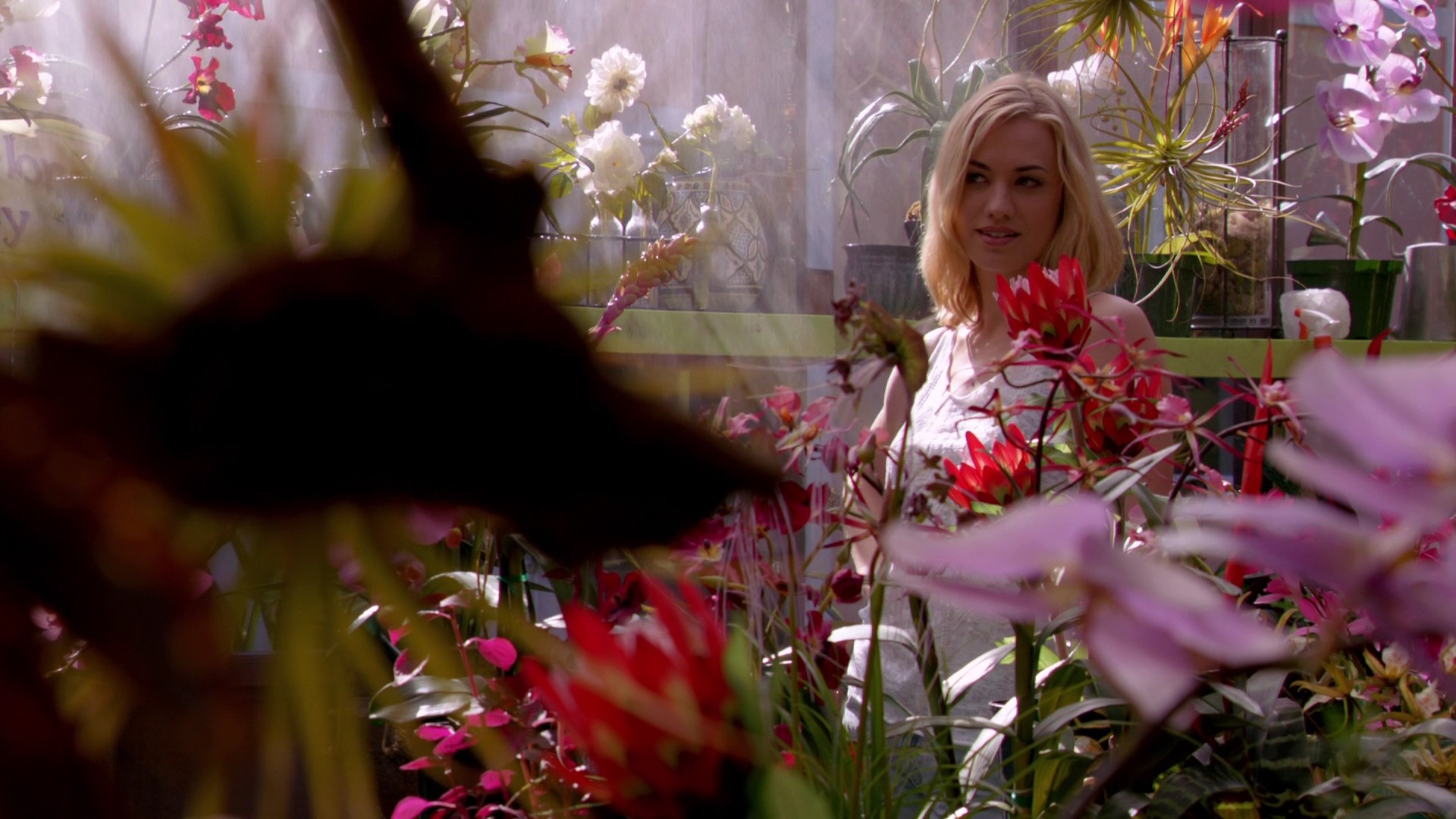 Dexter_7x03_BucktheSystem_0121.jpg