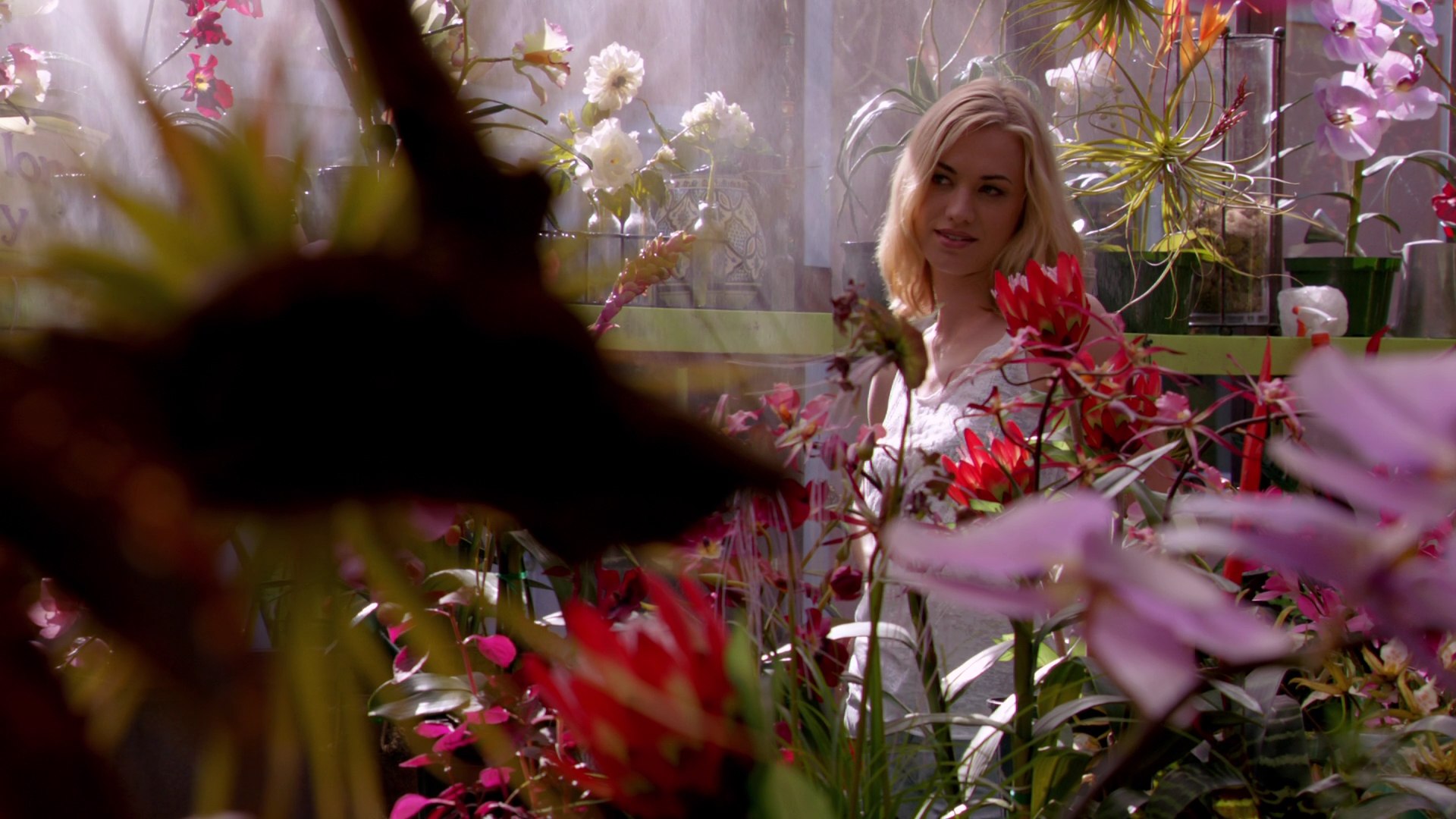 Dexter_7x03_BucktheSystem_0122.jpg