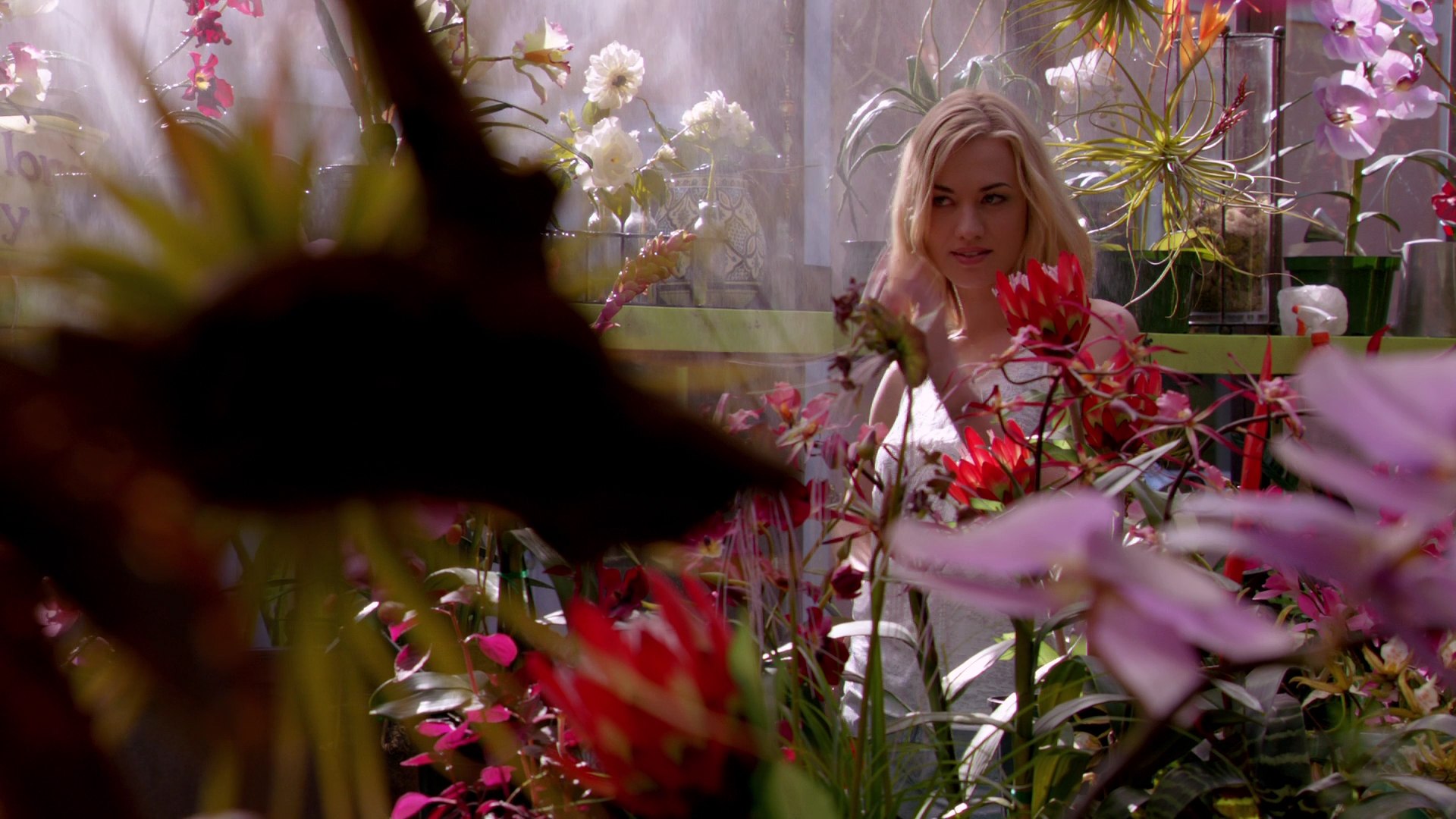 Dexter_7x03_BucktheSystem_0123.jpg