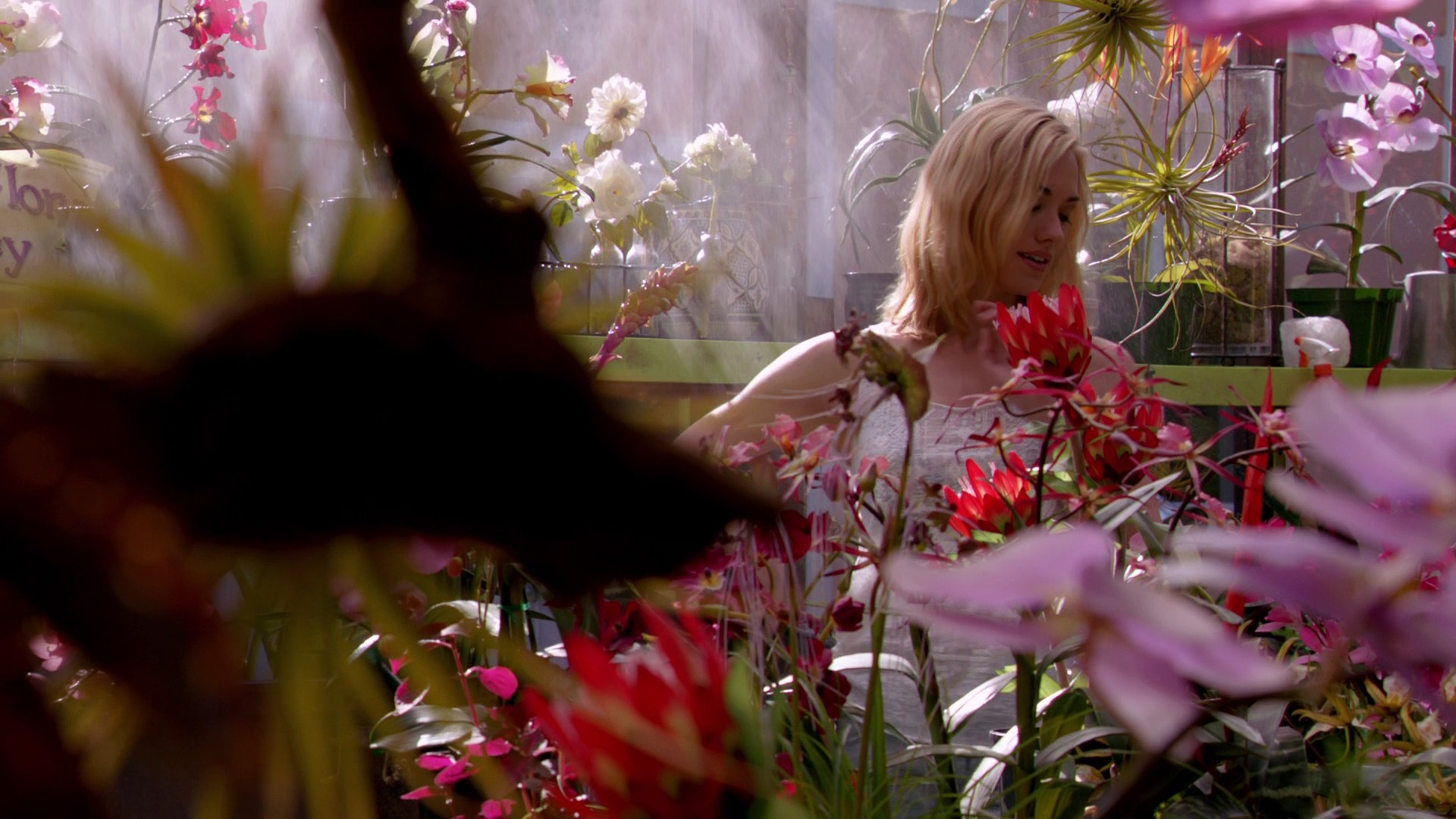 Dexter_7x03_BucktheSystem_0124.jpg