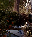 Dexter_7x11_DoYouSeeWhatISee_0086.jpg