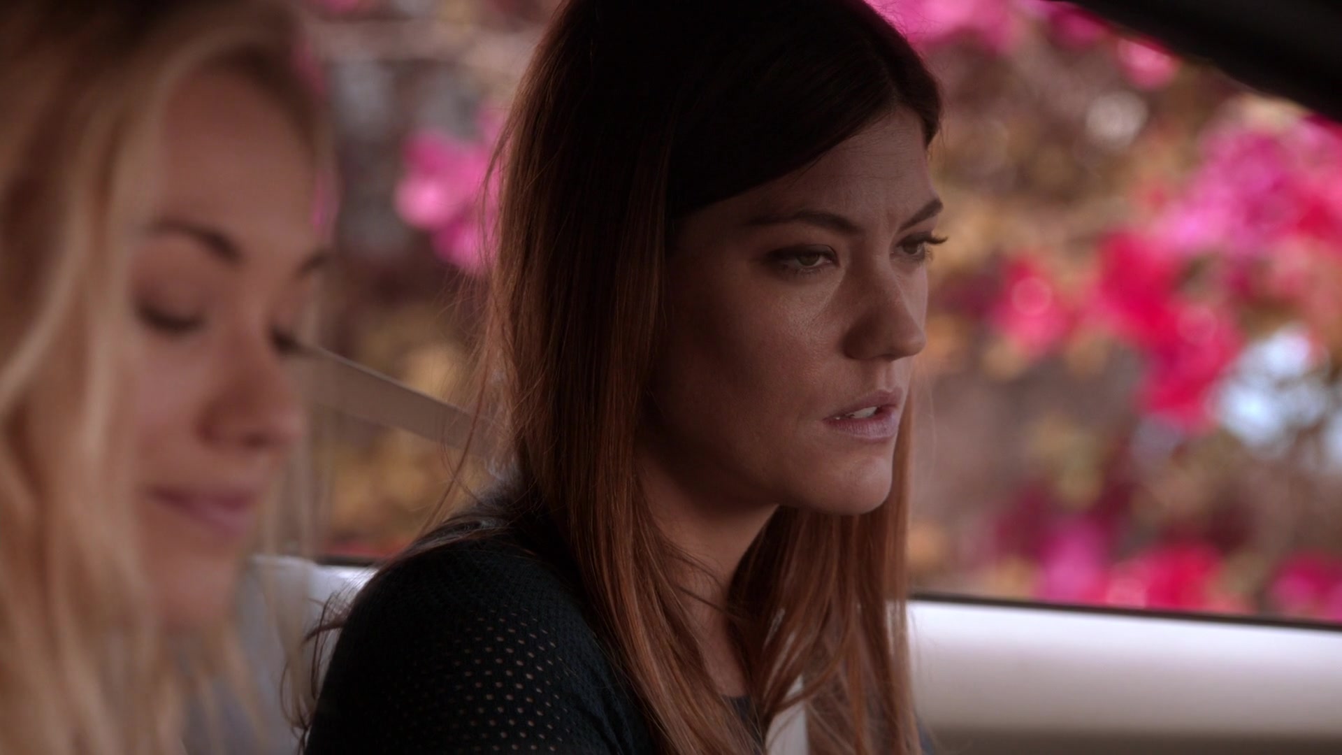 Dexter_8x11_MonkeyinaBox_0062.jpg